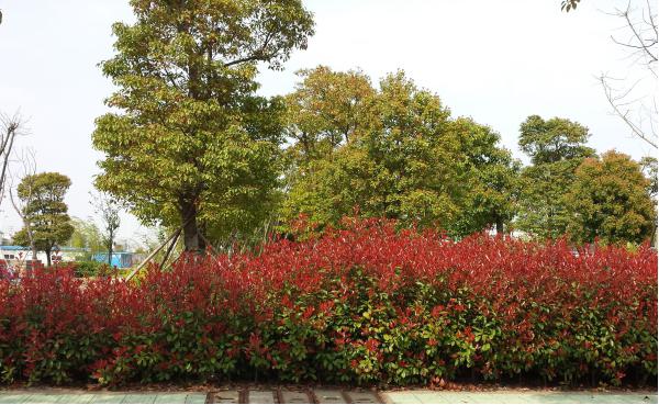 ݞ^(q)Mϰd һ·һֽdȶ·һd·o(h)֎