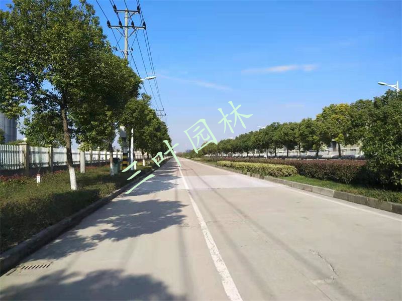 2019-2020Ⱥݞݽ(jng)g(sh)_l(f)^(q)GB(yng)oĿ꣩