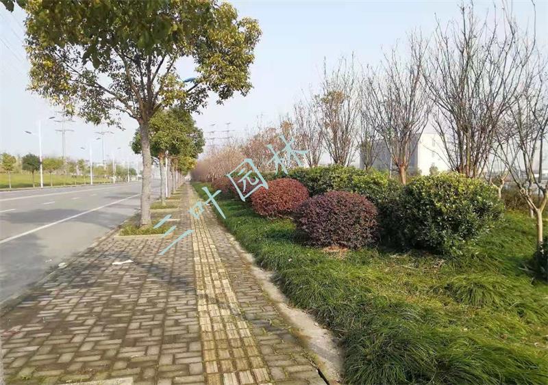 ۽_l(f)^(q)·GB(yng)o5